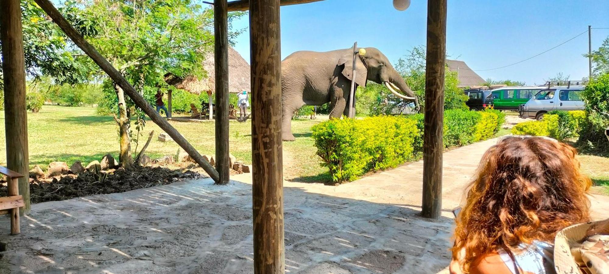Engiri Game Lodge And Campsite Katunguru Экстерьер фото