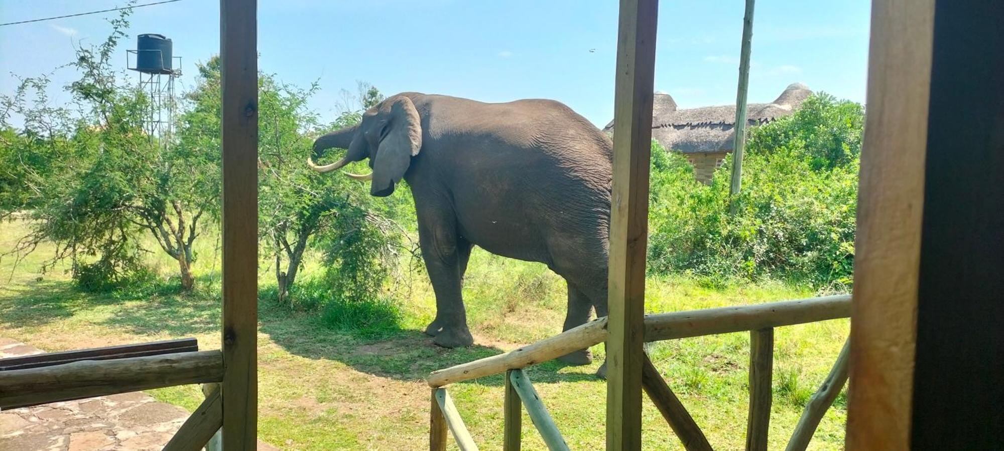 Engiri Game Lodge And Campsite Katunguru Экстерьер фото