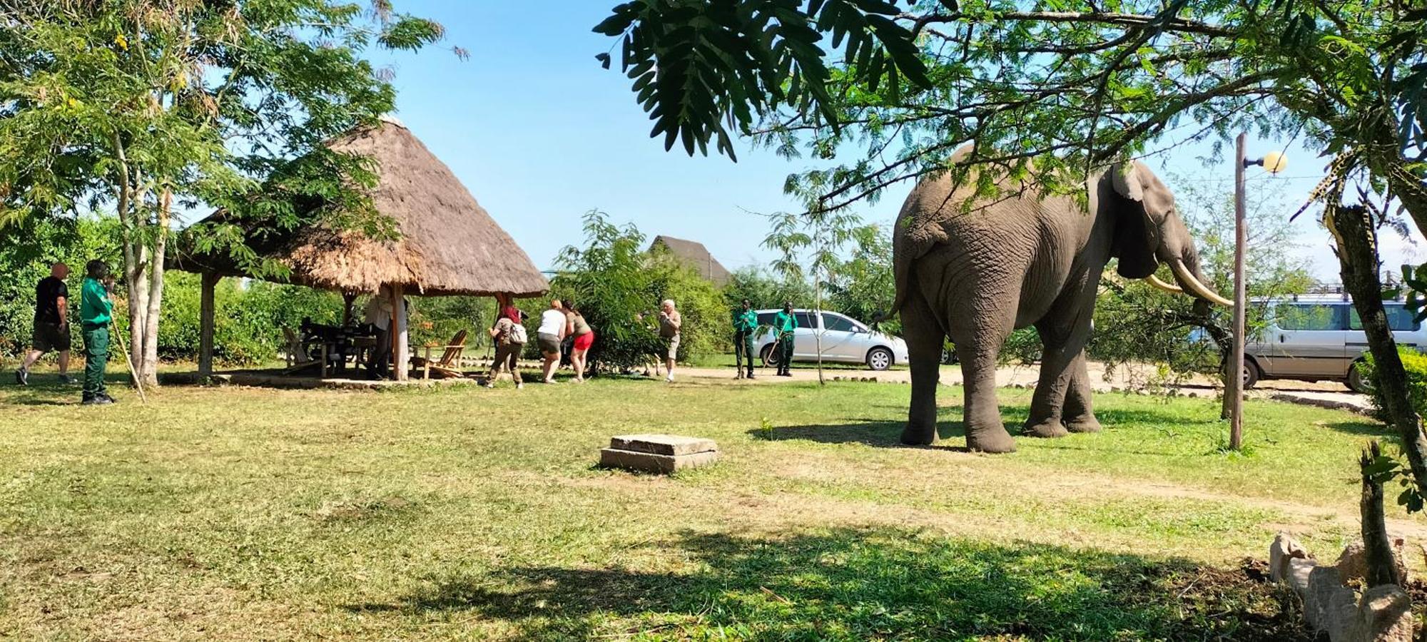 Engiri Game Lodge And Campsite Katunguru Экстерьер фото