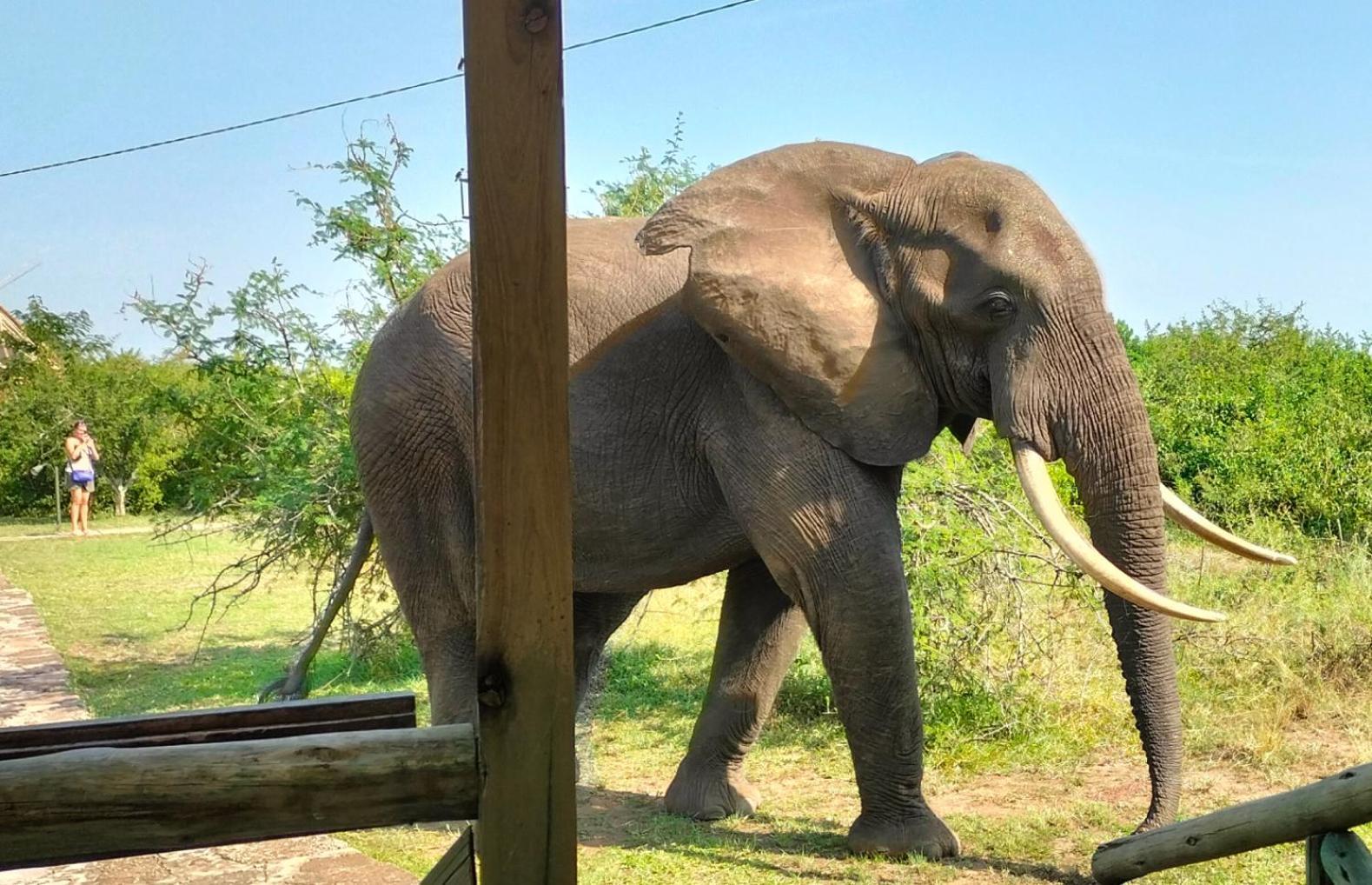 Engiri Game Lodge And Campsite Katunguru Экстерьер фото