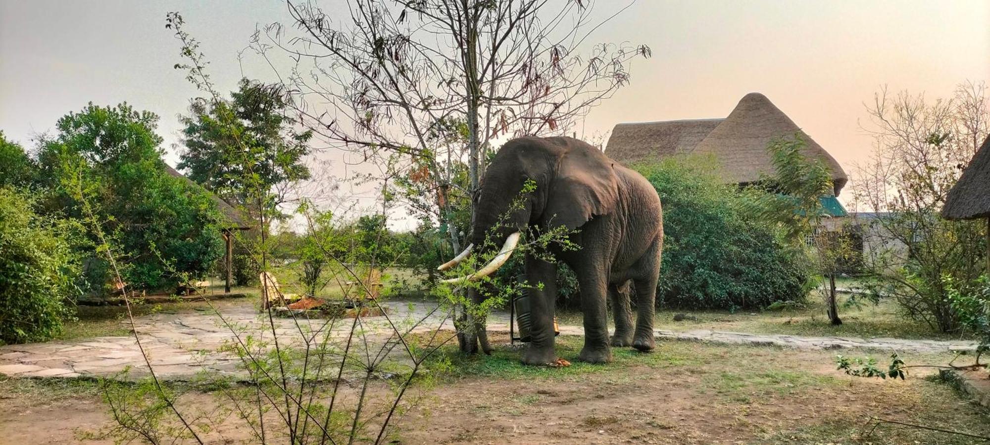 Engiri Game Lodge And Campsite Katunguru Экстерьер фото