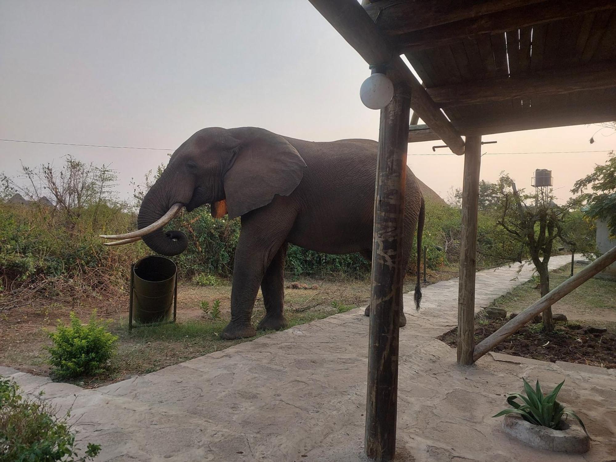 Engiri Game Lodge And Campsite Katunguru Экстерьер фото