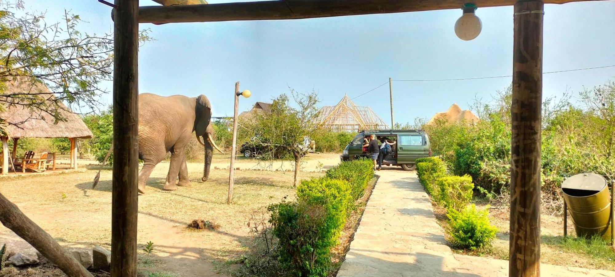 Engiri Game Lodge And Campsite Katunguru Экстерьер фото