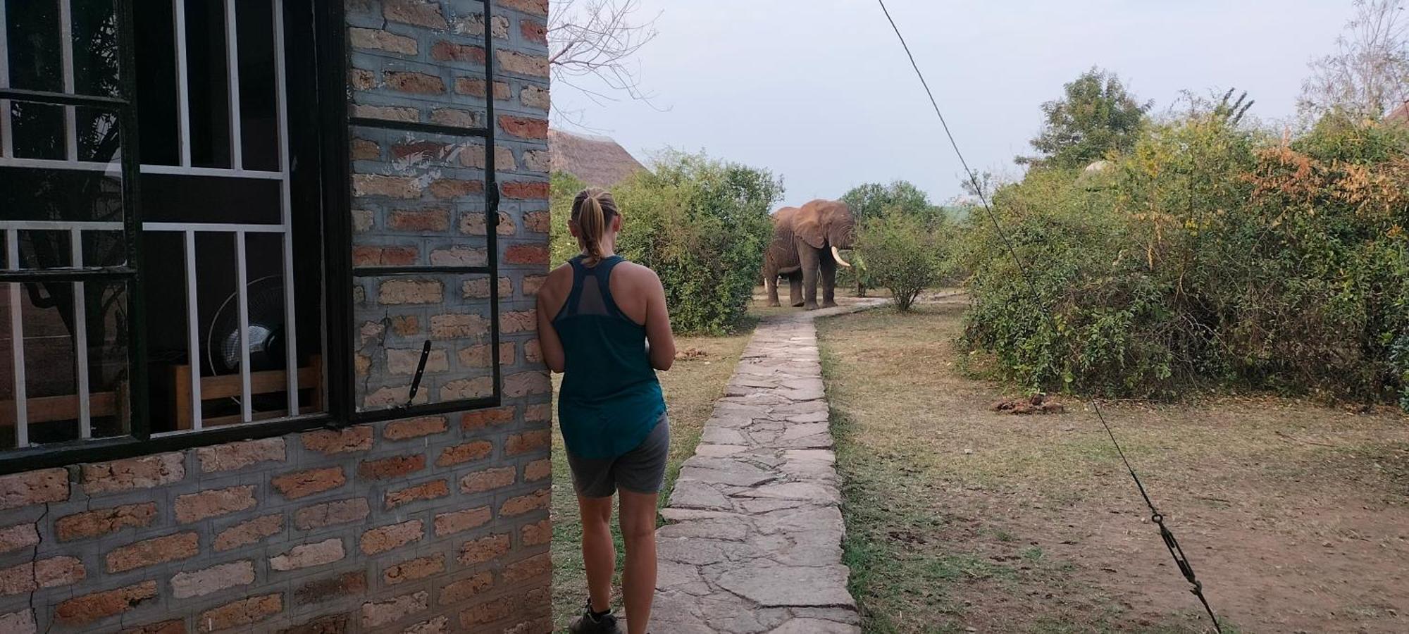 Engiri Game Lodge And Campsite Katunguru Экстерьер фото